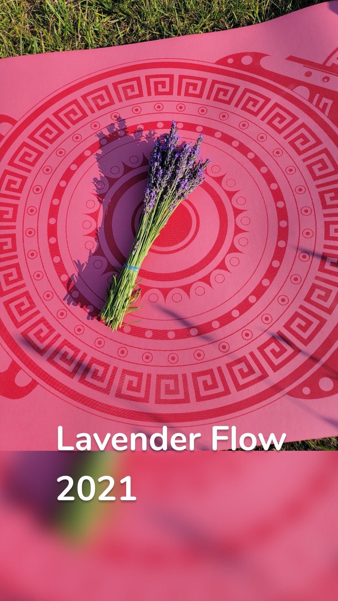 Lavender Flow
2021