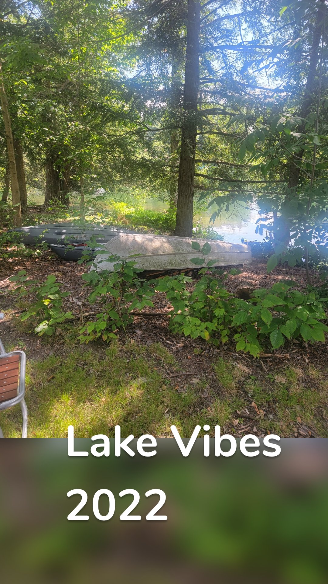 Lake Vibes
2022